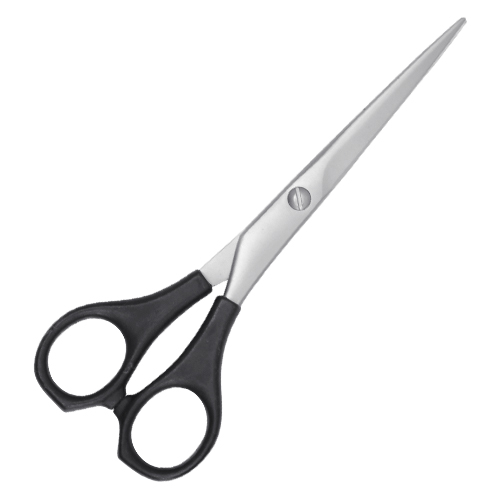 Plastic Handle Hair Cutting Scissors